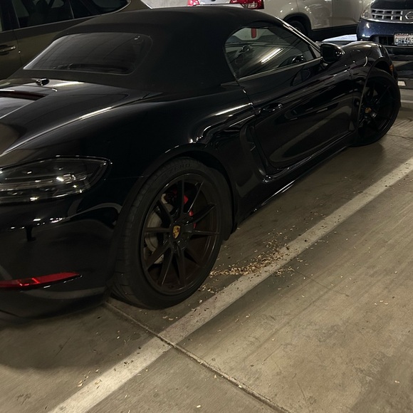 Meet your Posher, Mckay - Picture 2 of 3